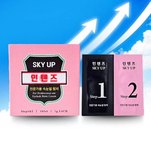 인텐즈 스카이업 펌제 1제 2제 10개입