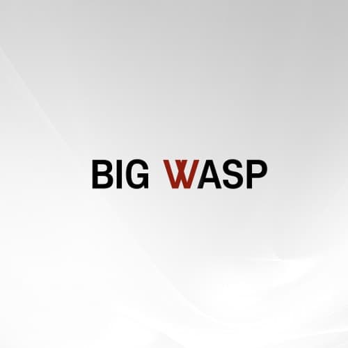 빅와스프 니들
